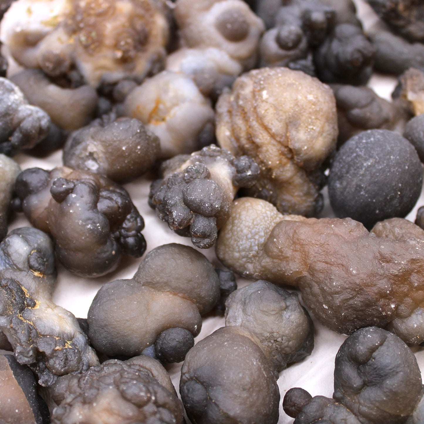 Mineral Specimens - Chalcedoon (approx 100 pieces)
