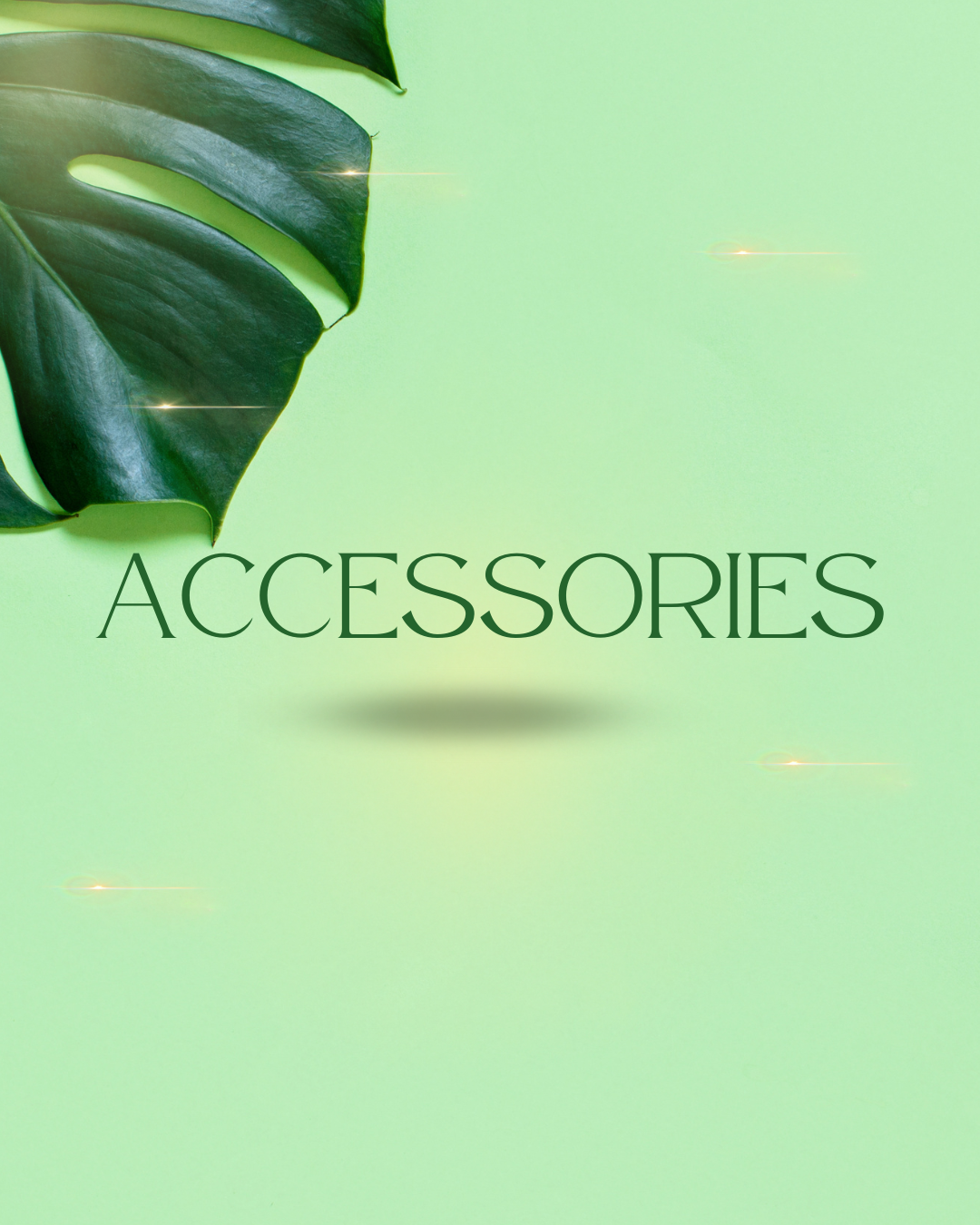 ACCESSORIES